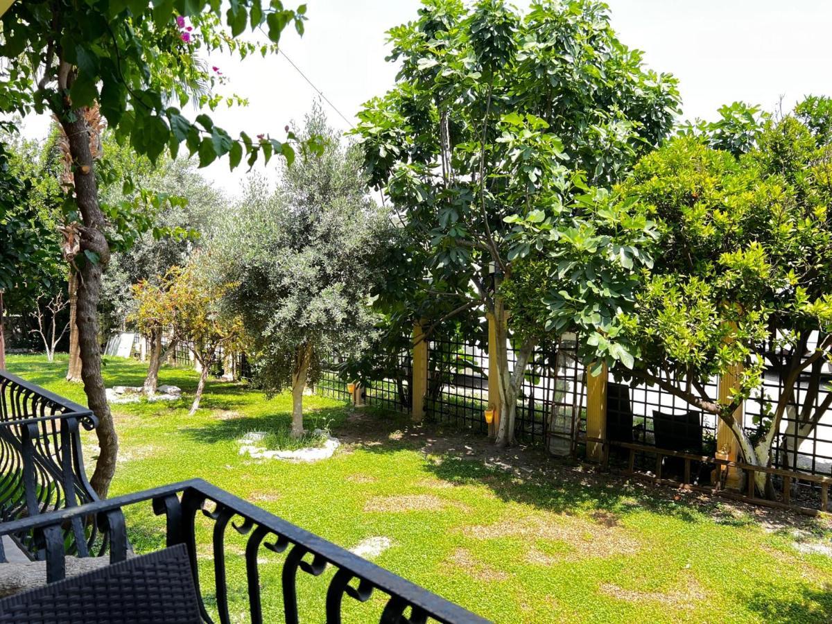 Han Boutique Hotel Sarigerme Extérieur photo
